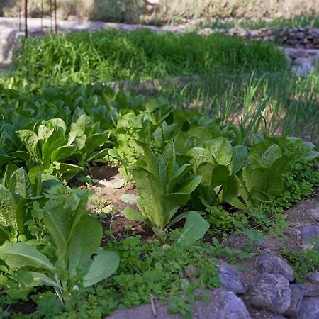 Mahalli Balad Sayt Heritage Inn Bald Sayt Εξωτερικό φωτογραφία